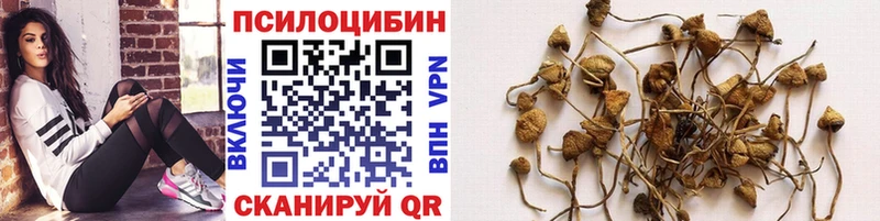 Псилоцибиновые грибы GOLDEN TEACHER Лысьва